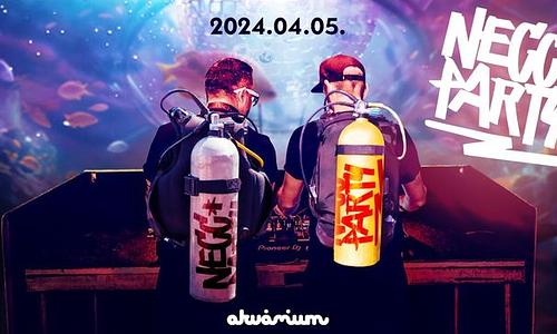 NECC PARTY // Akvárium Nagyhall 04.05.