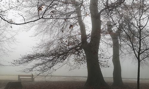 Óév búcsúztató túra - GreenWalks Budapest 2025.12.28