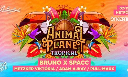 ANIMAL Planet • Tropical ➤ Ötkert - Budapest │ 07.11. HÉTFŐ
