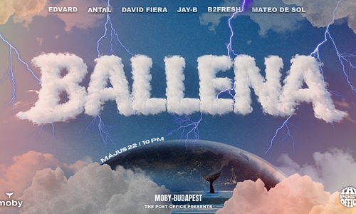 Ballena // Moby-Budapest