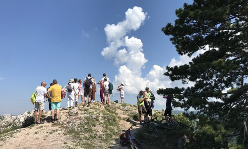 Gyere, gyere ki a hegyoldalba! - GreenWalks kirándulás 2026.02.08.