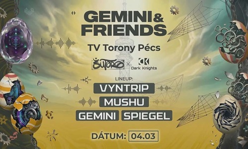 Dark Knights & Sutoro | TV Torony Pécs 04/03
