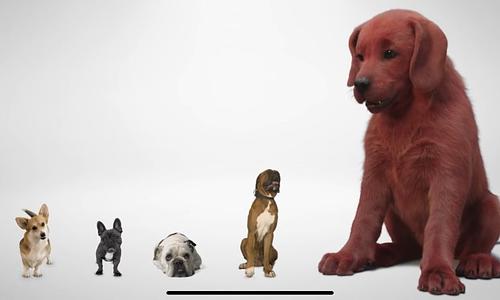 Clifford, a nagy piros kutya