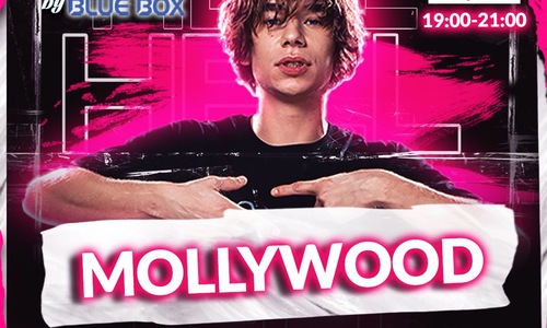 Mollywood - Crazy Night