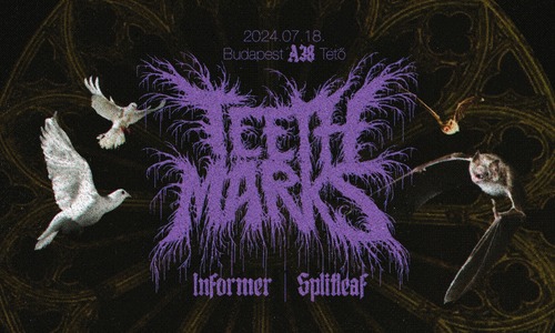 Teeth Marks, vendég: Informer, Splitleaf // A38 Tetőterasz