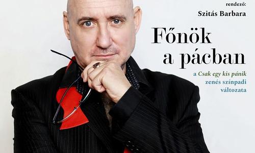 Főnök a pácban - a 