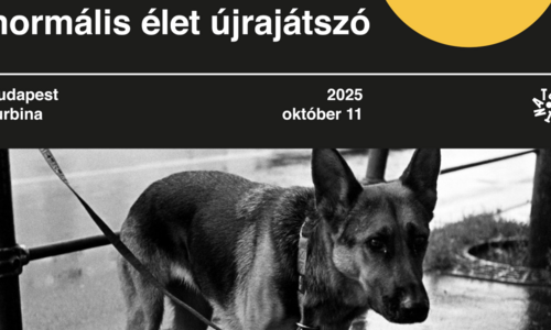 Felső Tízezer: normális élet újrajátszó, vendég: Lakótelep