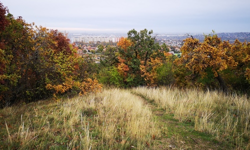 Árkon-bokron túl GreenWalks kirándulás 2026.01.25