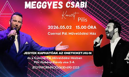 Meggyes Csabi Koncert Pilisen