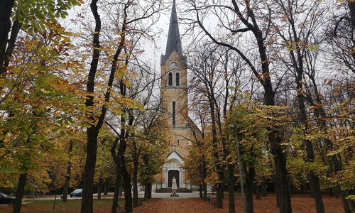 Remete-les, GreenWalks kirándulás 2026.01.11.