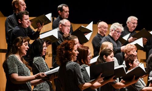 Amerikából jöttem