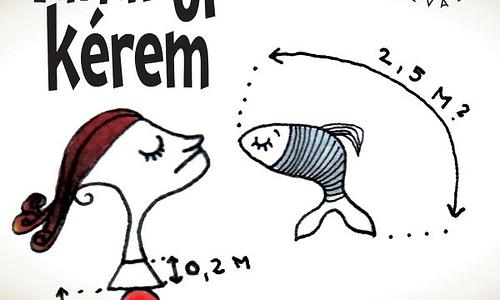 Tanár úr, kérem