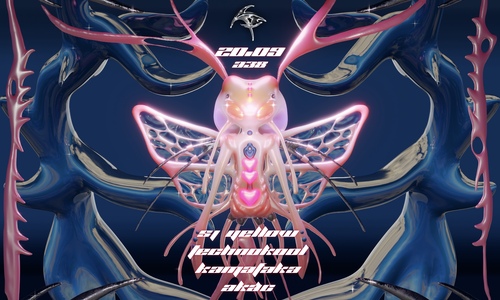 NoFear ✮ SJ yellow˚.✧₊⋅