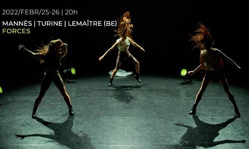Mannes / Turine / Lemaître (BE): Forces