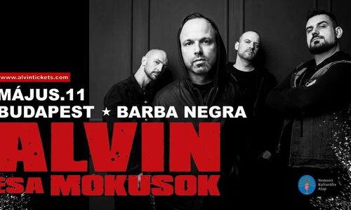 ALVIN ÉS A MÓKUSOK ★ BARBA NEGRA