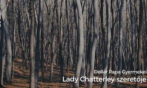 Dollár Papa Gyermekei: Lady Chatterley szeretője