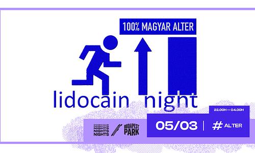 Lidocain Night ☾ Nights of Budapest Park