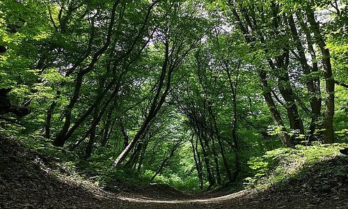 A Szerelem Bolondjai - GreenWalks kirándulás 2026.04.19.