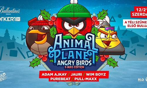 ANIMAL Planet • Angry Birds ➟ X-MAS EDITION ➤ Ötkert │ 12.21.