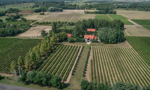 Hetényi Család Pincészete és Szőlőiskolája – Hobbi Borász Tanfolyam