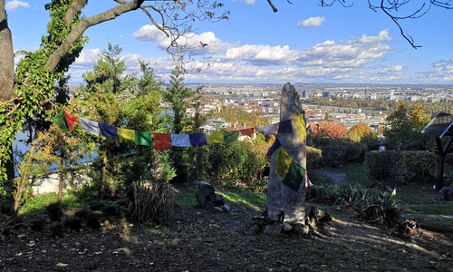 Kacskaringós Rózsadomb 2025.11.30.