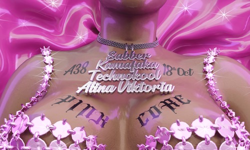 Pinkcore invites˚₊⊹ᰔ Alina Viktoria