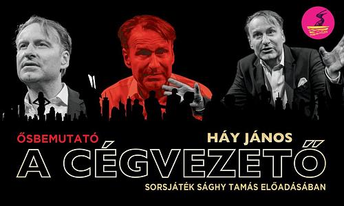 A cégvezető