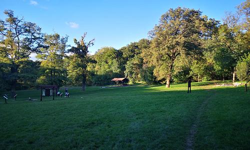 A Kamaraerdőtől Dezső Bácsiig - GreenWalks kirándulás 2026.05.03.