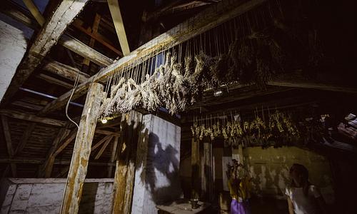 A pincétől a padlásig - Tárlatvezetés a De la Motte-Beer-palotában