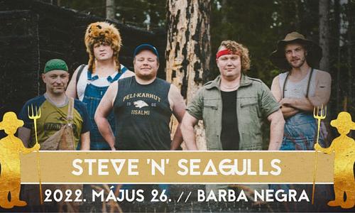 STEVE 'n' SEAGULLS