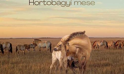 Vadlovak - Hortobágyi mese