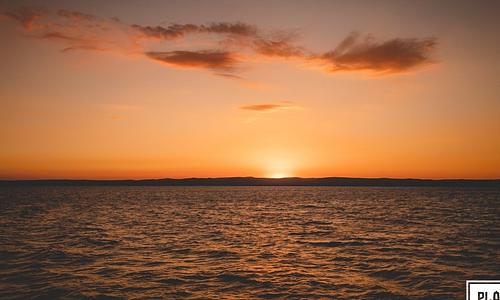 Octopus x Plázs Siófok / Plázs Club