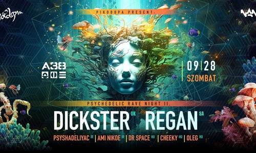 Pikodopa Presents: Psychedelic Rave Night II