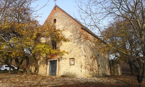 Néma trombitások - GreenWalks kirándulás 2025.12.07.