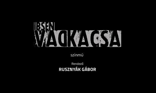 A VADKACSA
