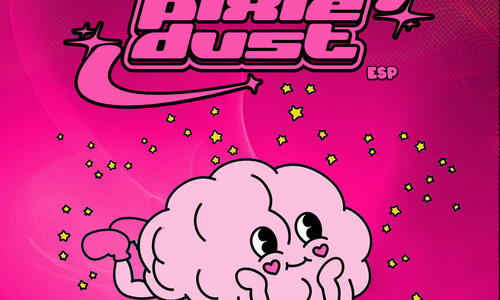 BOUNCY Budapest PRE NYE /  Pixie Dust @ Turbina