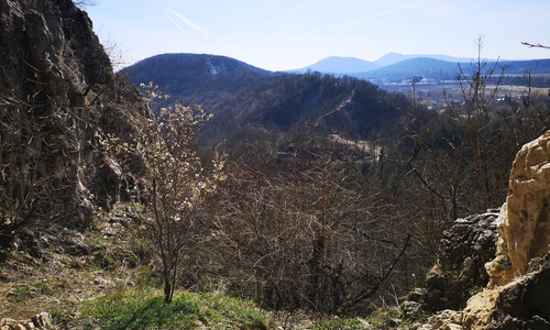 Sitty-sutty GreenWalks kirándulás 2026.03.08.