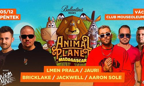 ANIMAL Planet ◂ MADAGASCAR ▸ I Club Mouseoleum - 05.12.