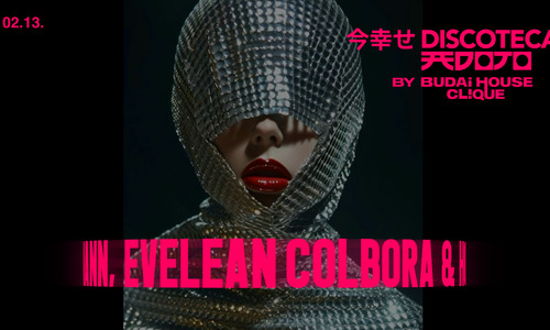 DISCOTECA by Budai House Clique 02.13.