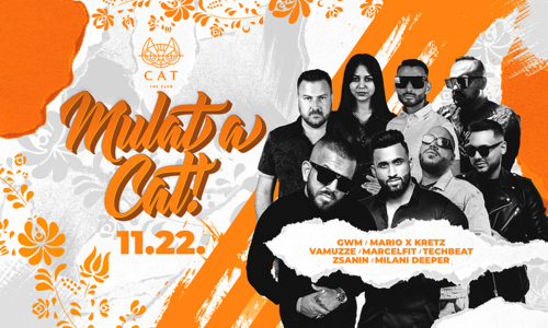 Mulat a CAT😼 // 11.22